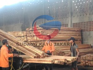 Harga Kayu